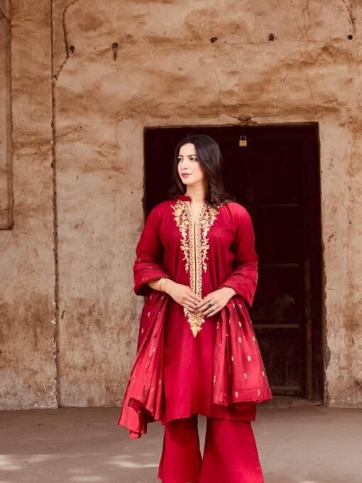 Blood Maroon Colour – A Perfect Traditional Outfit